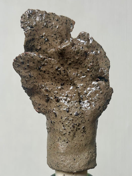 Image at position 1