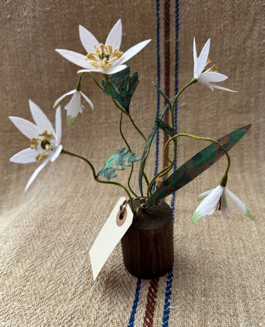 Image at position 1