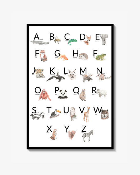 Djuralfabet Poster Engelska