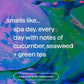 Method Body Wash - Daily Zen 8 fl oz - New