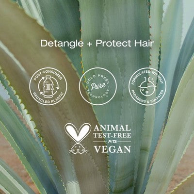 Raw Sugar Multi-Miracle Leave-in Heat Protectant & Conditioner Coconut Milk and Blue Agave 6 fl oz - Imperfect Container