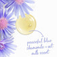 Dove Beauty Anti-Stress Body Wash Pump Blue Chamomile; Oat Milk 24hr Lotion-Soft Skin 30.6 fl oz - Imperfect Container