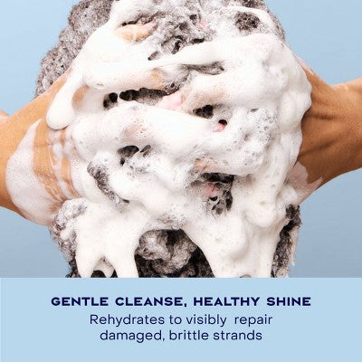 SheaMoisture Manuka Honey & Yogurt Hydrate & Repair Shampoo 13 fl oz - Imperfect Container