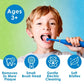 Brusheez Buddy the Bear Children's Electric Kids Toothbrush Set - Imperfect Box