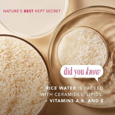 The Face Shop Rice Water Bright Vegan Cream 1.69 fl oz - New