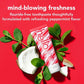 hello Holiday Home for the Holidays Toothpaste and Deodorant Travel Toiletry Bag Kit 5pc - New