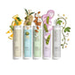 Paul Mitchell Clean Beauty Everyday Shampoo 8.5 fl oz - New