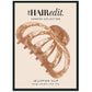 The Hair Edit Jellyfish Clip Latte - New
