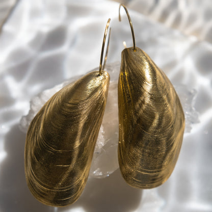Musselskal örhänge