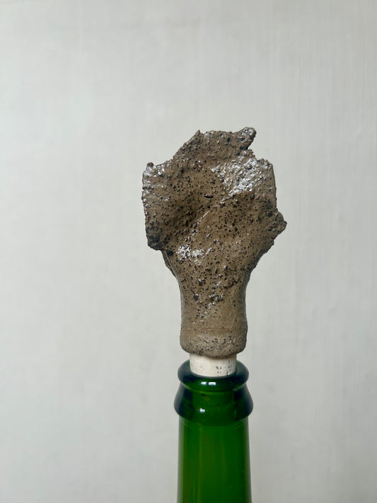 Image at position 1