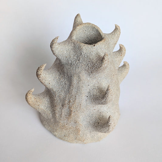 Image at position 2
